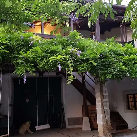Apartmaji Hedera Komen Exterior photo