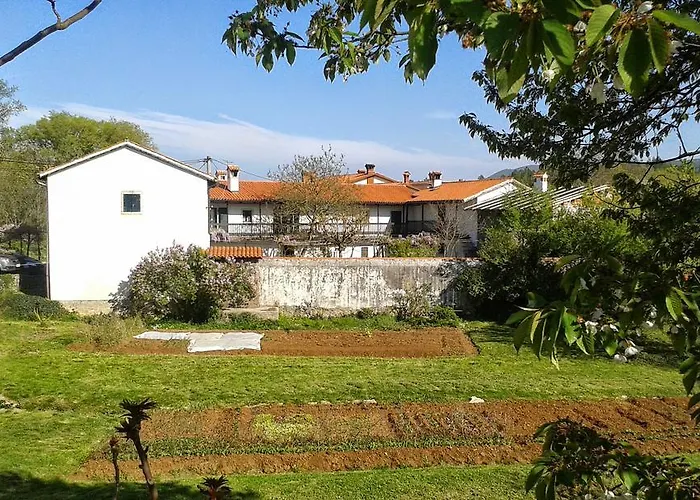 Apartmaji Hedera