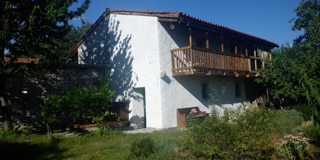 Apartmaji Hedera