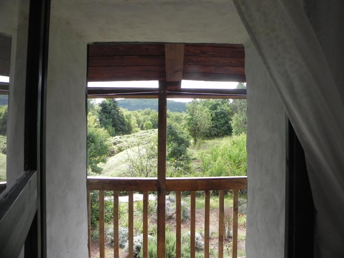 Apartmaji Hedera Apartment Komen