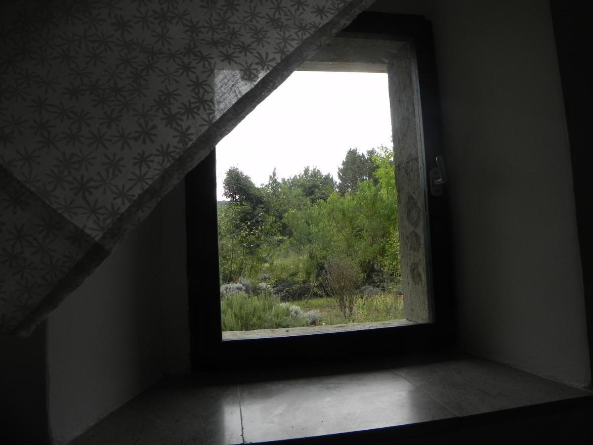 Apartmaji Hedera *