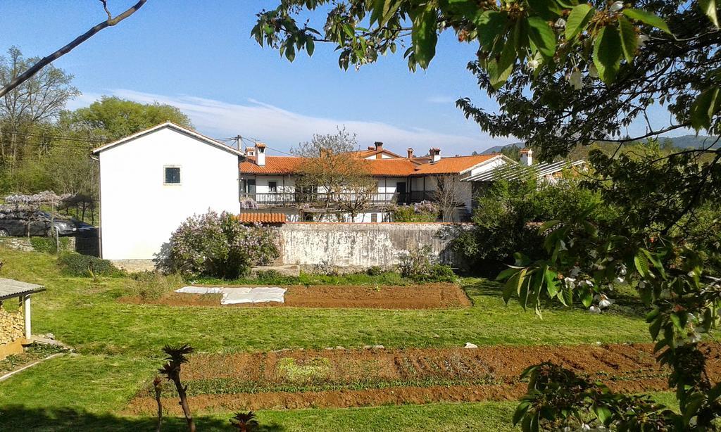 Apartmaji Hedera *