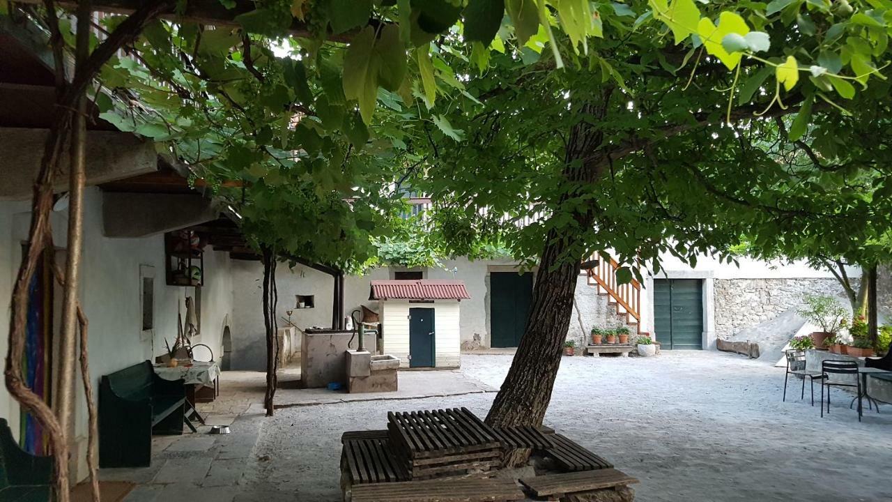 Apartmaji Hedera Komen